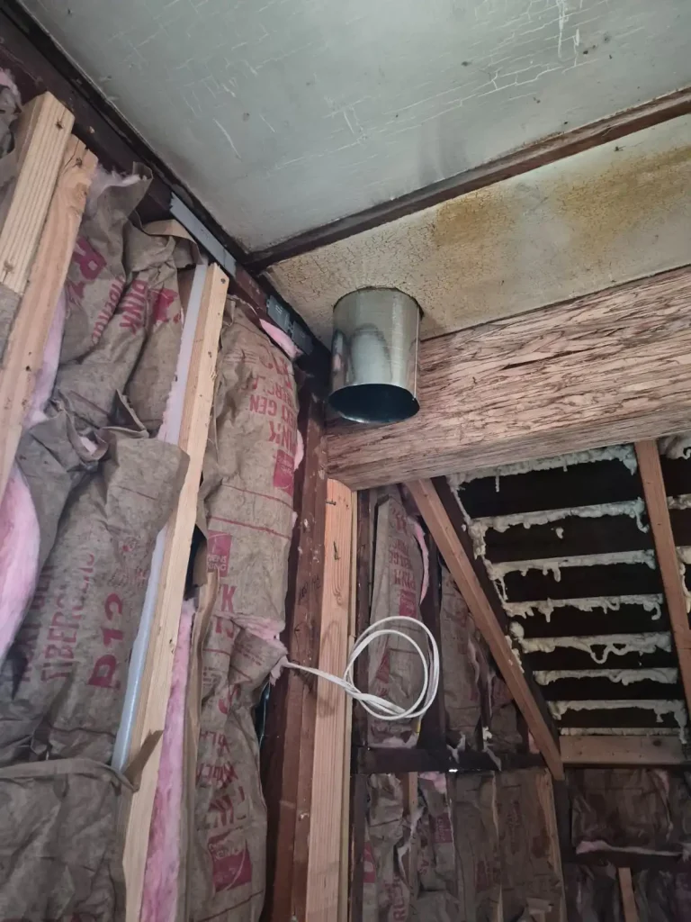 WhatsApp Image 2025-12-22 at 16.06